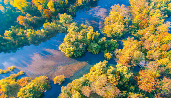Flusslandschaft mit gelben-roten Herbstbäumen