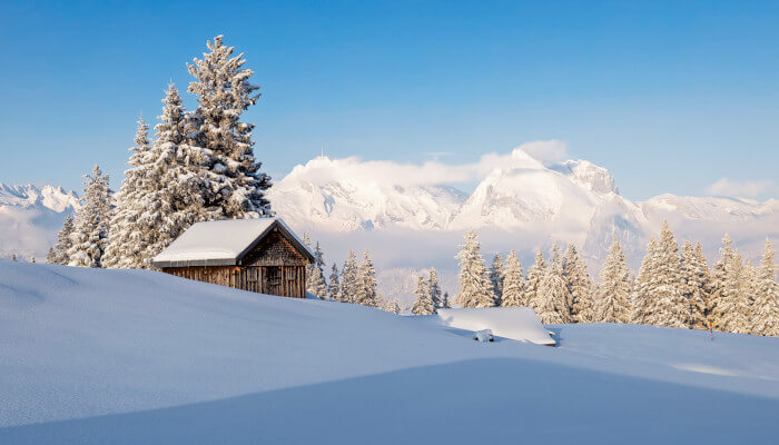 Hütte in den Bergen im Winter vor Tannenwald