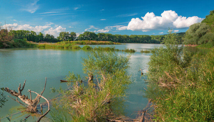 See mit Schilf und Sträucher im Wasser