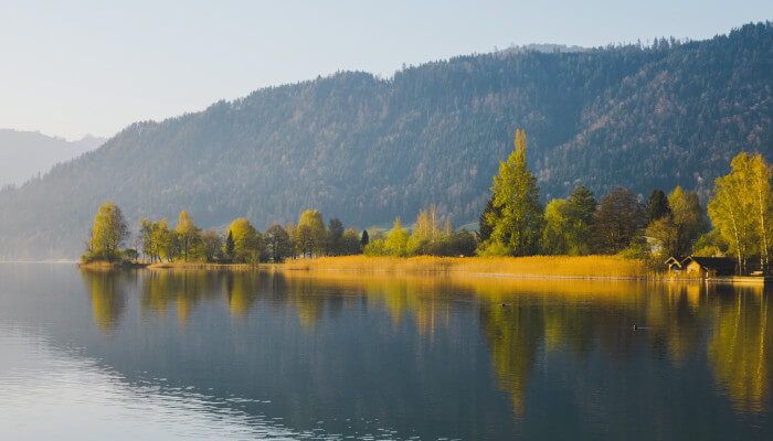 See vor Schilfgürtel im herbst