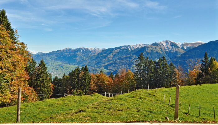 Bergwelt im Herbst mit  Tannen und grüner Wiese