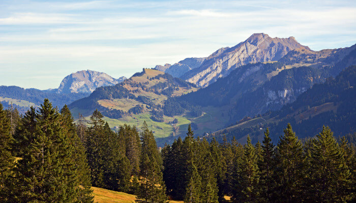 Bergkette mit Tannen im Herbst