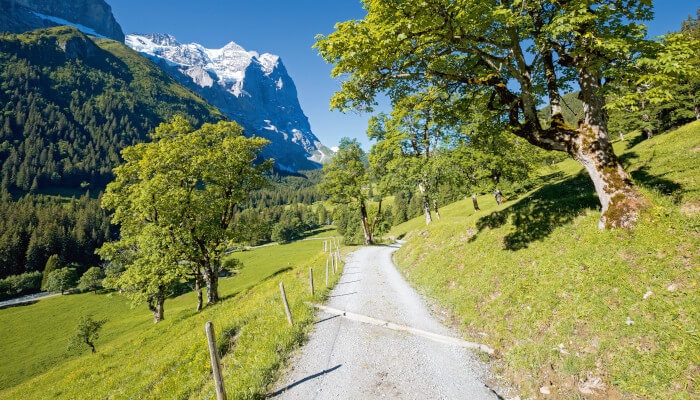 Wanderwg in den Bergen bei strahlendem Sonnenschein