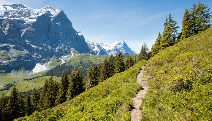 Wanderweg in Berglandschaft am Berghang bei Sonnenschein