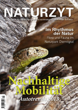 Cover April 2014 mit Eidechse des NATURZYT Magazin mit Verlinkung auf Yumpu