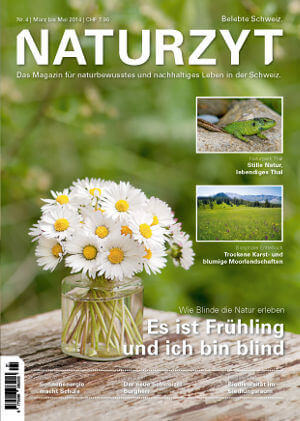 Cover März 2014 mit Gänseblümchen des NATURZYT Magazin mit Verlinkung auf Yumpu