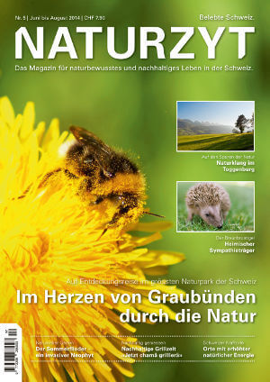 Cover Juni 2014 mit Hummel des NATURZYT Magazin mit Verlinkung auf Yumpu