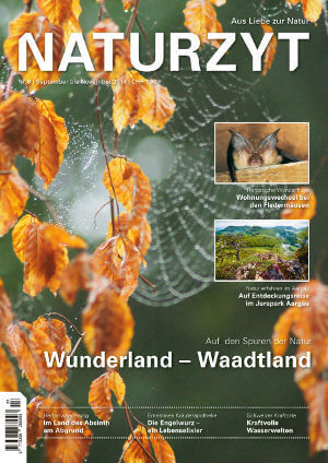 Cover September 2014 mit Spinnennetz des NATURZYT Magazin mit Verlinkung auf Yumpu