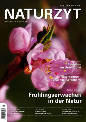 Cover März 2015 mit Kirschblüten des NATURZYT Magazin mit Verlinkung auf Yumpu
