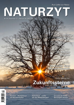 Cover Dezember 2017 mit Linde von Linn des NATURZYT Magazin mit Verlinkung auf Yumpu
