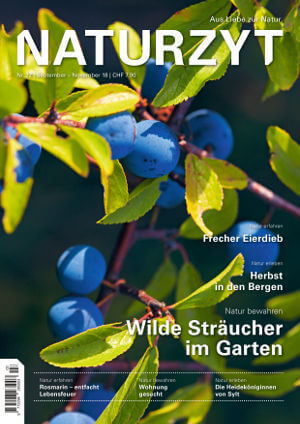 Cover September 2018 mit blauen Früchten des NATURZYT Magazin mit Verlinkung auf Yumpu
