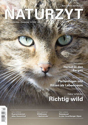 Cover September 2021 mit Wildkatze des NATURZYT Magazin mit Verlinkung auf Yumpu