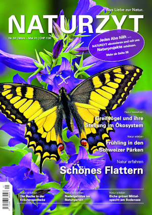 Cover März 2021 Schwalbenschwanz des NATURZYT Magazin mit Verlinkung auf Yumpu