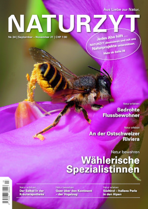 Cover September 2021 Wildbiene des NATURZYT Magazin mit Verlinkung auf Yumpu