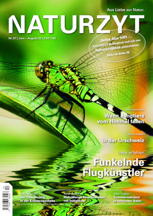 Cover Juni 2022 Libelle des NATURZYT Magazin mit Verlinkung auf Yumpu