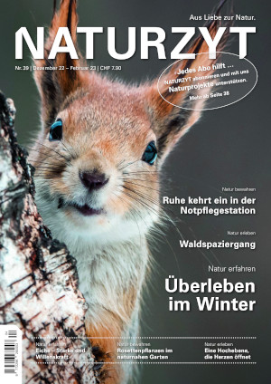 Cover Dezember 2022 Eichhörnchen des NATURZYT Magazin mit Verlinkung auf Yumpu