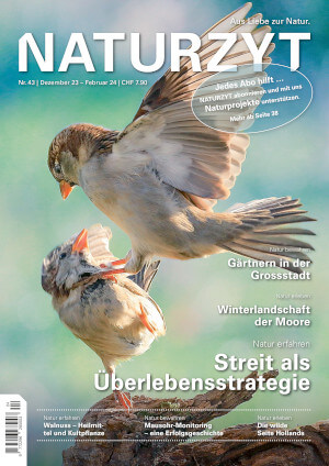 Cover Dezember 2023 Spatzen des NATURZYT Magazin mit Verlinkung auf Yumpu