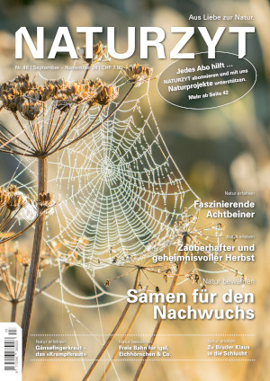 Cover September 2024 Spinnenetz des NATURZYT Magazin mit Verlinkung auf Yumpu