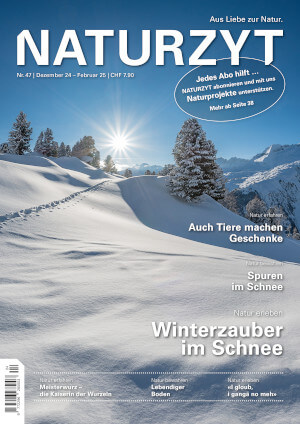 Cover Dezember 2024 Winterlandschaft des NATURZYT Magazin mit Verlinkung auf Yumpu